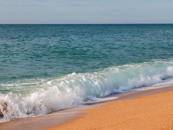 Playas